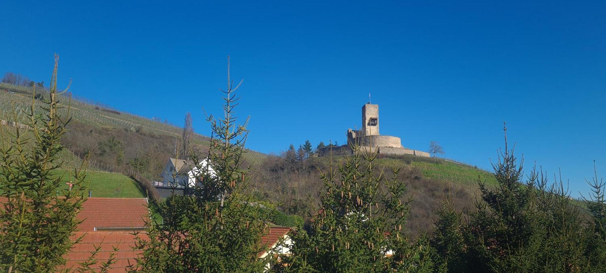 Gite Et Chambres D'Hotes Les Framboises Katzenthal Exterior foto